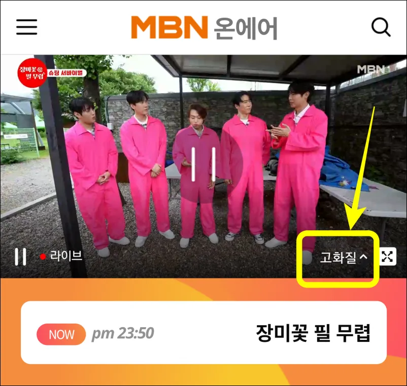 MBN-실시간-온에어-방송화면