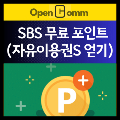 SBS-포인트