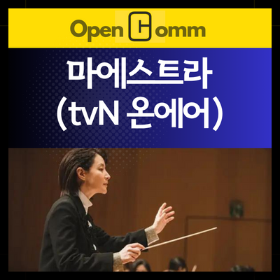 마에스트라-실시간