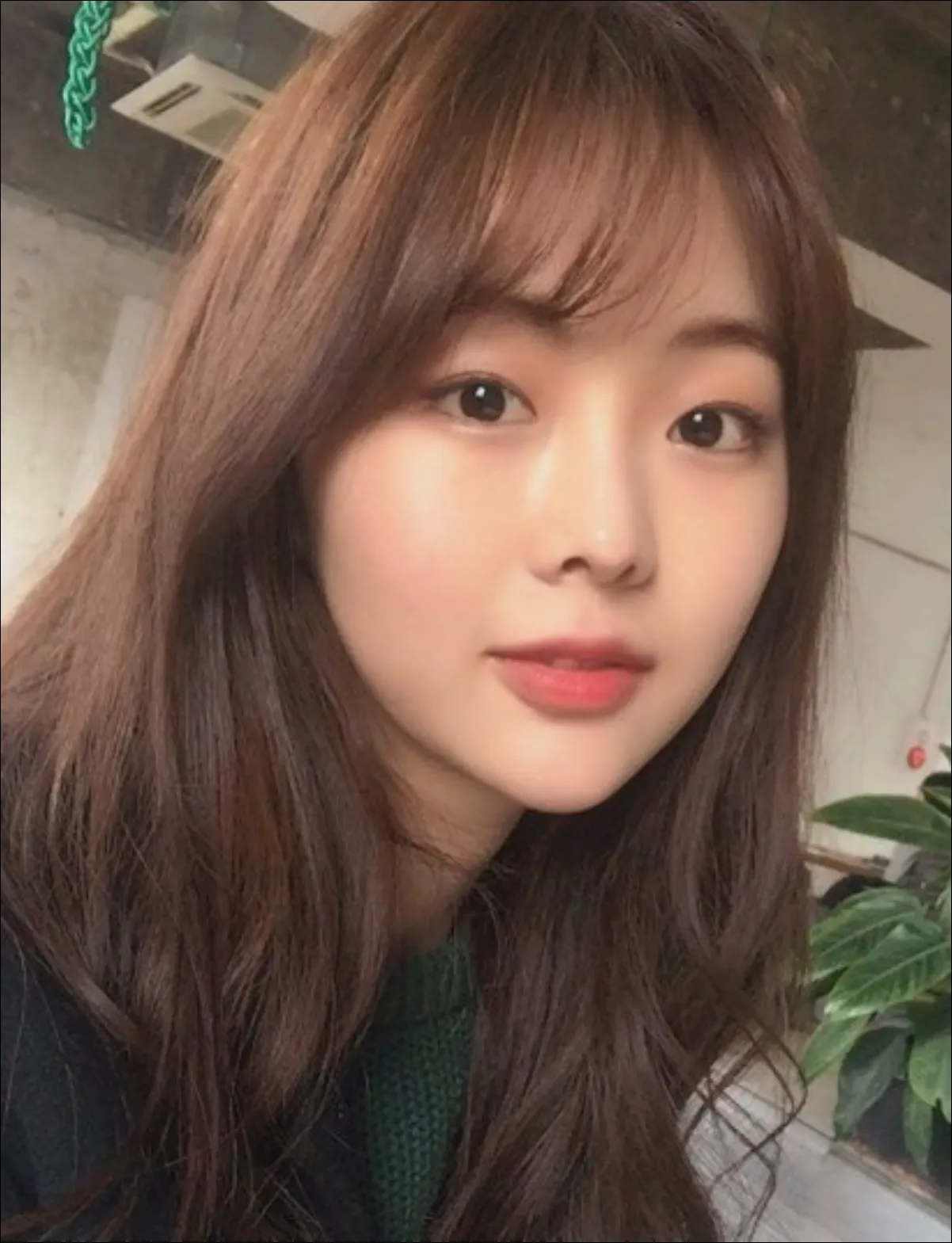 다리미-패밀리-실시간-금새록